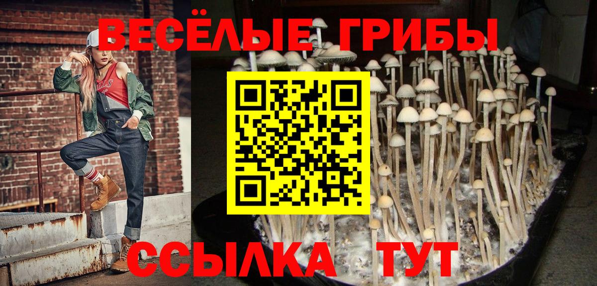 Галлюциногенные грибы прущие грибы Избербаш